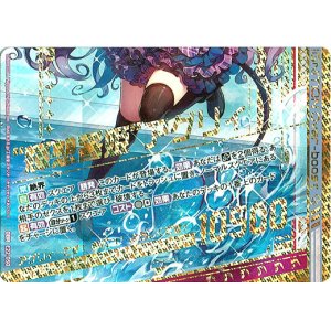 画像: “輝想誓姫”アグリィ（下）