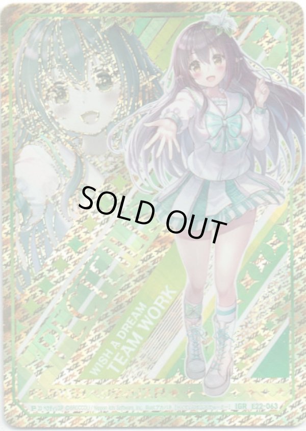 画像1: 【IGR】ペクティリスP (1)