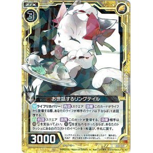 画像: 【ホログラム】お世話するリングテイル