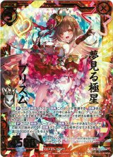画像: 【ホログラム】夢見る極星 プリズム