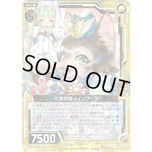画像: 【ホログラム】天満神猫メインクーン