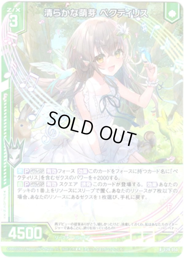 画像1: 【ホログラム】清らかな萌芽 ペクティリス (1)