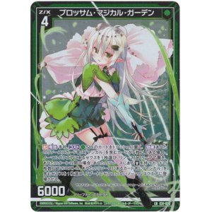 画像: ブロッサム・マジカル・ガーデン