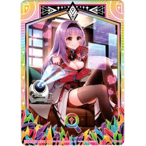 画像: 調査記録