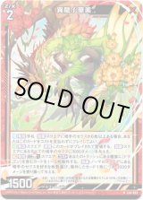画像: 【ホログラム】異龍∫華美