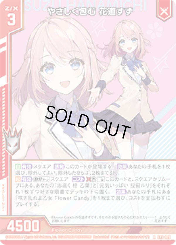 画像1: やさしく包む 花道すず (1)