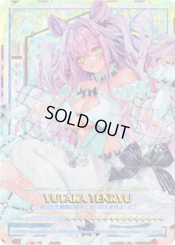 画像1: 【IGR】天竜ゆたか (1)