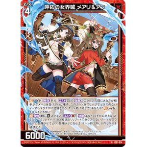 画像: 呼応の女界賊 メアリ＆アン