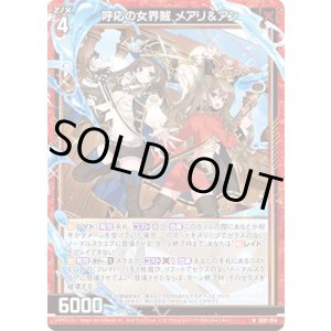 画像: 呼応の女界賊 メアリ＆アン