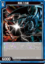 画像: 異龍∫白龍