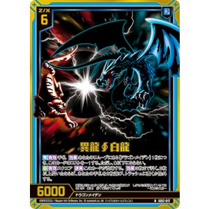 画像: 【ホログラム】異龍∫白龍