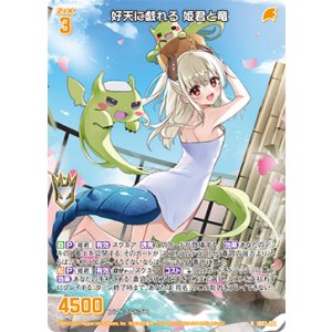 画像: 好天に戯れる 姫君と竜