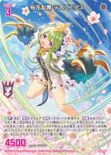 画像: 桜花乱舞 テオゴニアス