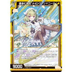 画像: 運命に挑む メインクーン∀ニーナ