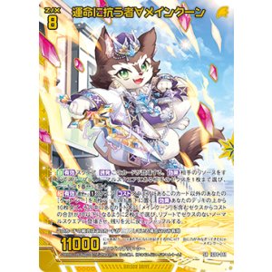画像: 運命に抗う者∀メインクーン