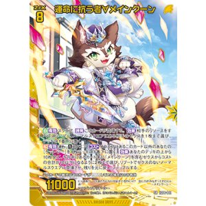 画像: 【ホログラム】運命に抗う者∀メインクーン