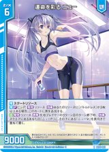 画像: 運命を彩る ニュー