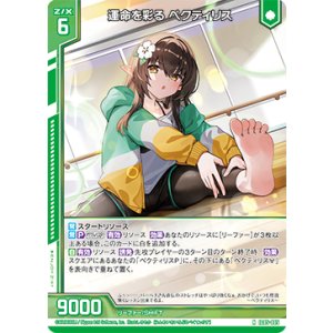 画像: 運命を彩る ペクティリス