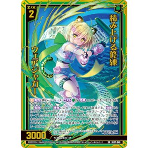 画像: 積み上げる修練 ウェアジャガー