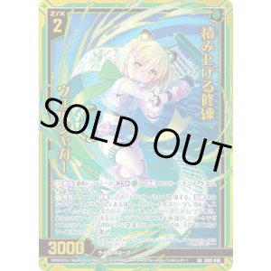 画像: 積み上げる修練 ウェアジャガー