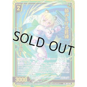 画像: 【ホログラム】積み上げる修練 ウェアジャガー