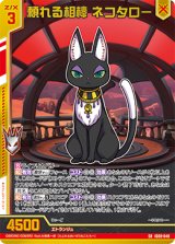 画像: 頼れる相棒 ネコタロー