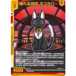 画像: 頼れる相棒 ネコタロー