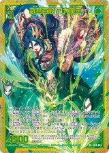 画像: 【ホログラム】武芸百般 八大龍王