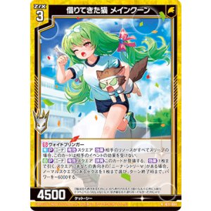 画像: 借りてきた猫 メインクーン