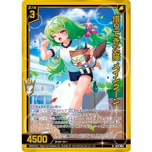 画像: 【ホログラム】借りてきた猫 メインクーン