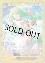 画像: 【SEC】借りてきた猫 メインクーン