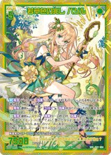 画像: 【SEC】若草色の兆し バジル