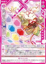 画像: ≪楯≫創展 先生