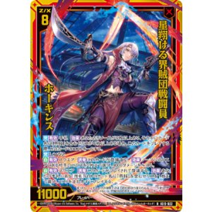 画像: 【ホログラム】星翔ける界賊団戦闘員 ホーキンス