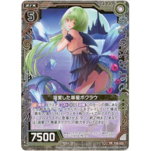 画像: 溺愛した箒星ボクラウ