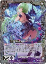 画像: 【ホログラム】溺愛した箒星ボクラウ