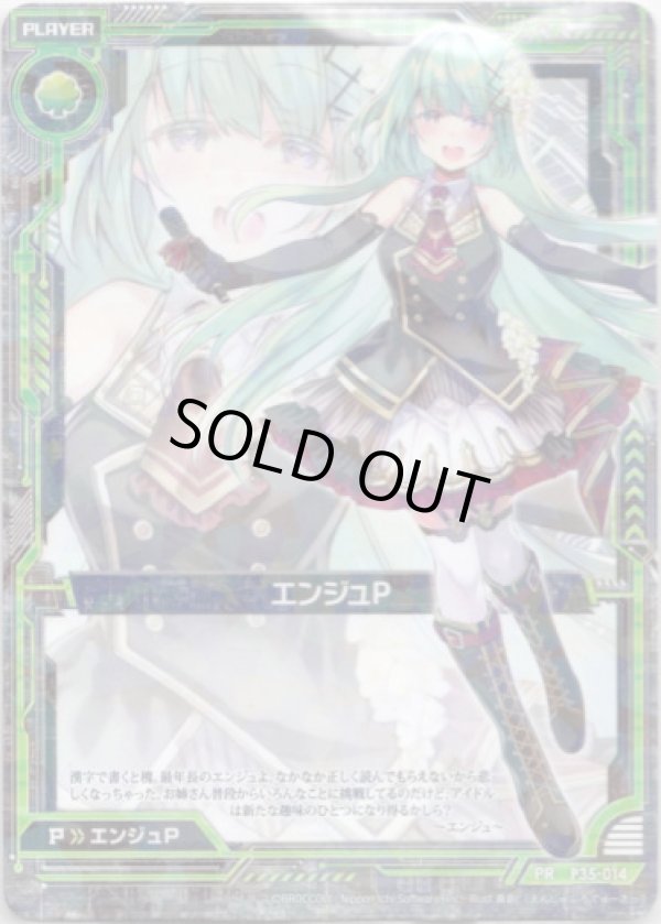 画像1: エンジュP (1)