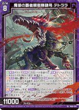 画像: 魔狼の覇者親衛隊肆号 テトララ