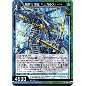 画像: 知青§開化 ヘリカルフォート