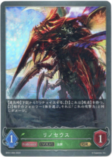 画像1: 【EVOLVE】リノセウス (1)