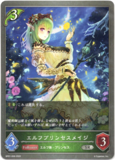 画像1: エルフプリンセスメイジ (1)