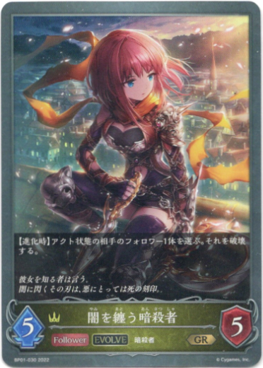 画像1: 【EVOLVE】闇を纏う暗殺者 (1)