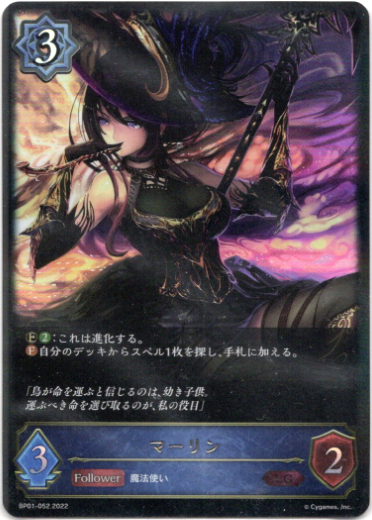 画像1: マーリン (1)