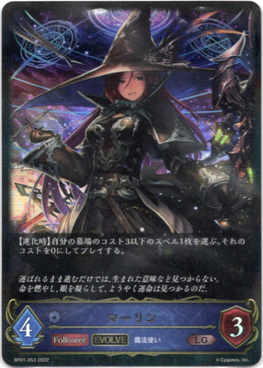 画像1: 【EVOLVE】マーリン (1)