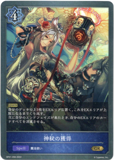 画像1: 神秘の獲得 (1)