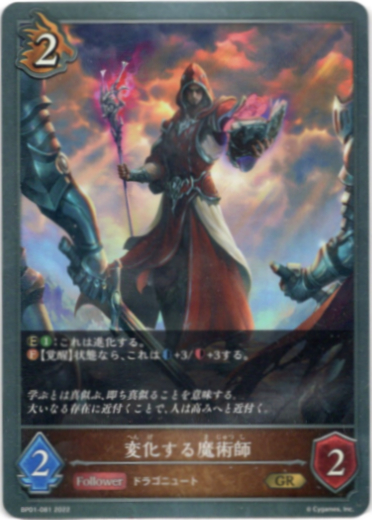 画像1: 変化する魔術師 (1)