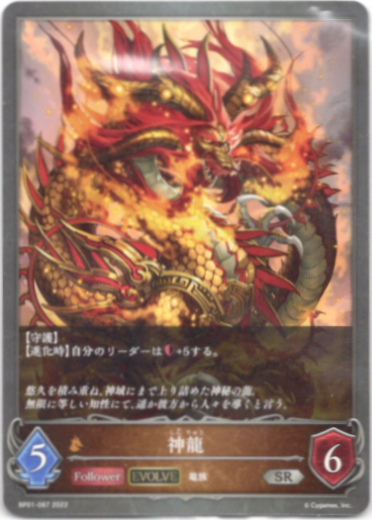 画像1: 【EVOLVE】神龍 (1)