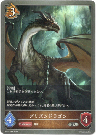 画像1: プリズンドラゴン (1)