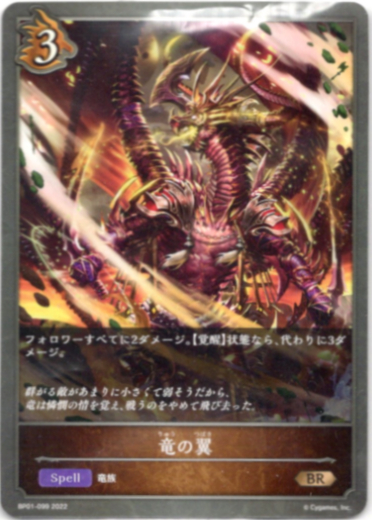 画像1: 竜の翼 (1)