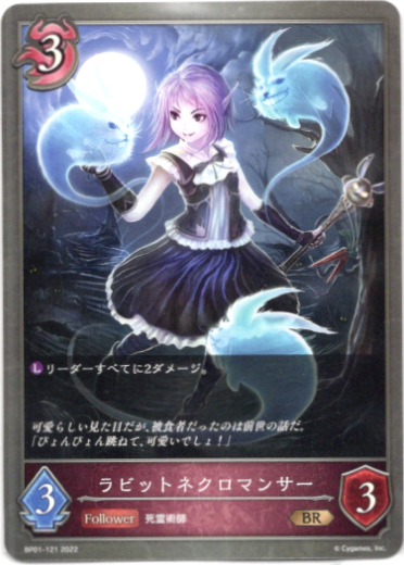 画像1: ラビットネクロマンサー (1)